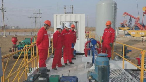 外媒聚焦中國(guó)油田“孤島廠側(cè)鉆”技術(shù) 管理升級(jí)盤活資產(chǎn)，資產(chǎn)管理邁向新高度