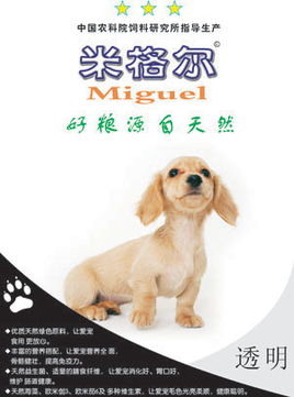 湖南省寵物食品廠家概覽與優質狗糧推薦